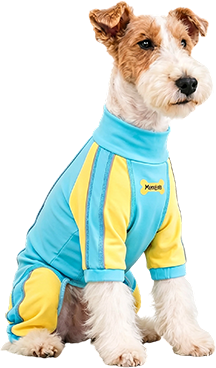 Dog Bodysuits & Sets
