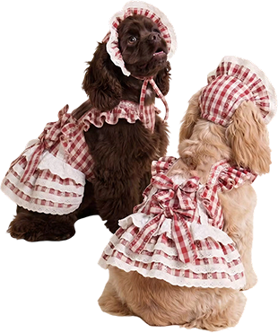 Dog Dresses