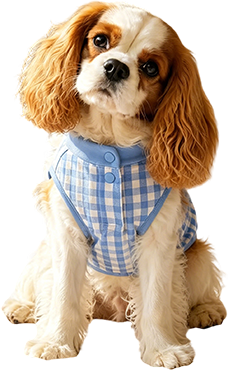 Dog Outerwear & Vests