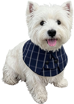 Dog Bibs