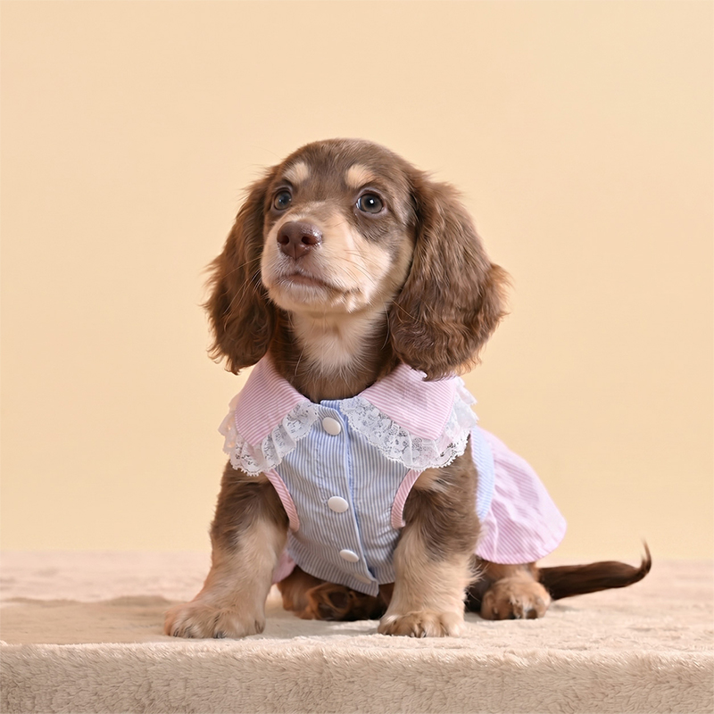 Sweet Bow Princess Dog Dress