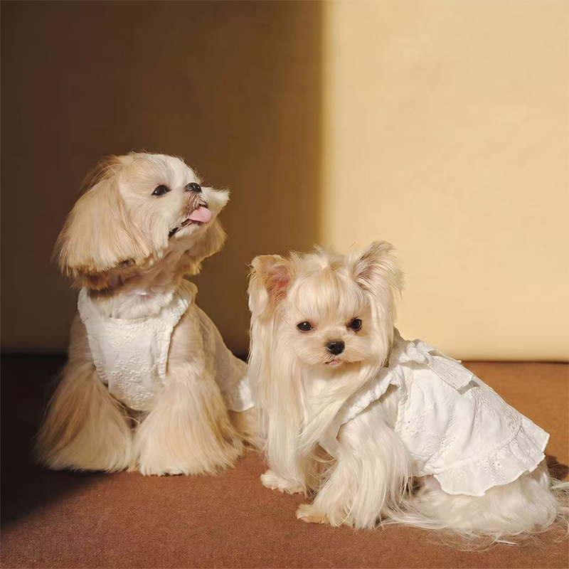 French Style Embroidered Dog Dress Elegant Pet Apparel