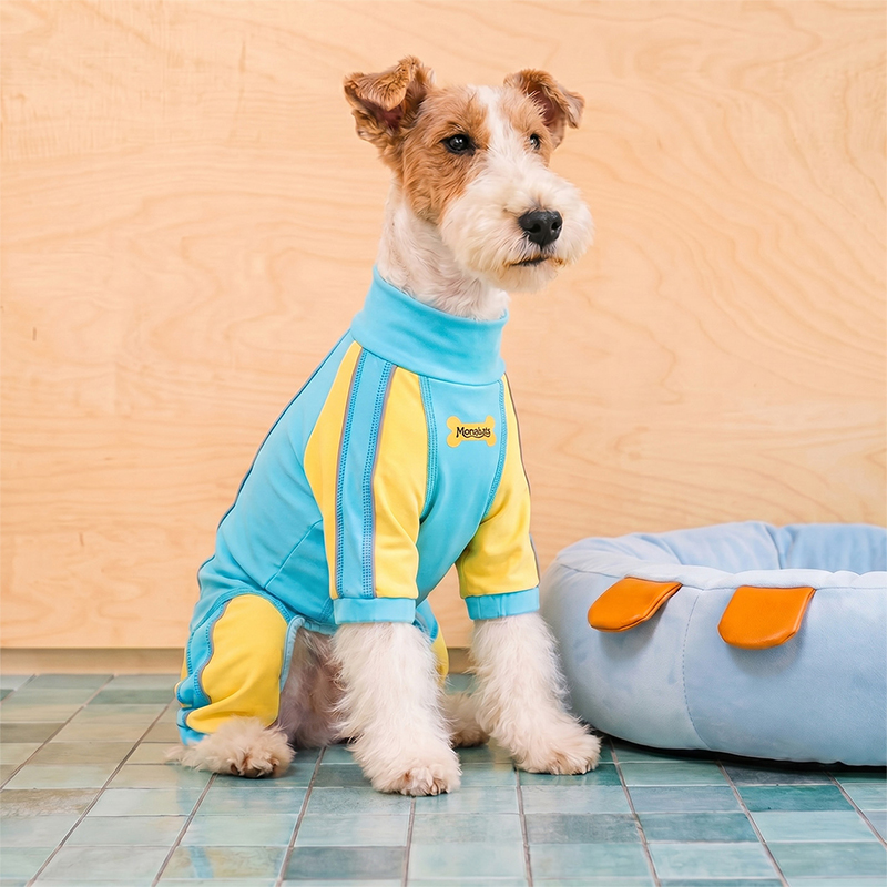 Dog Four-Leg Cooling Bodysuit Color-Block Breathable Summer Suit