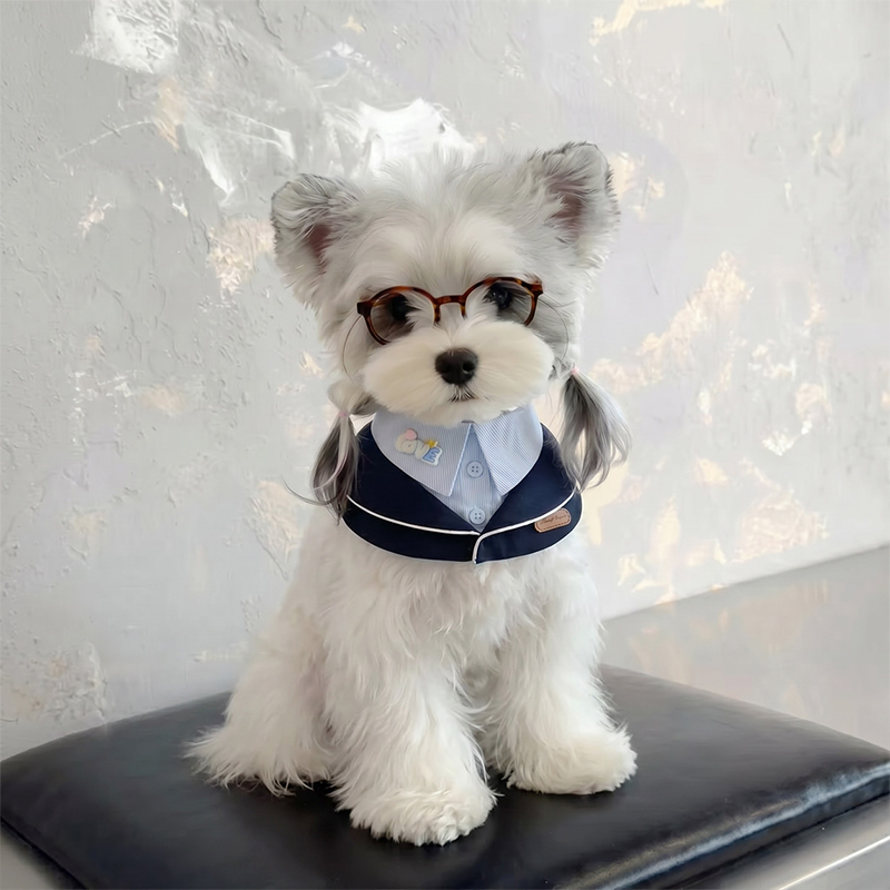 College Style Two-Piece Dog Bib Set Preppy Pet Wear
