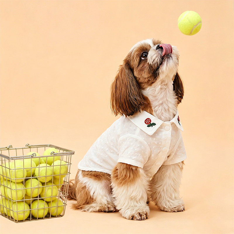 Cream Embroidered Dog Blouse Elegant Pet Shirt