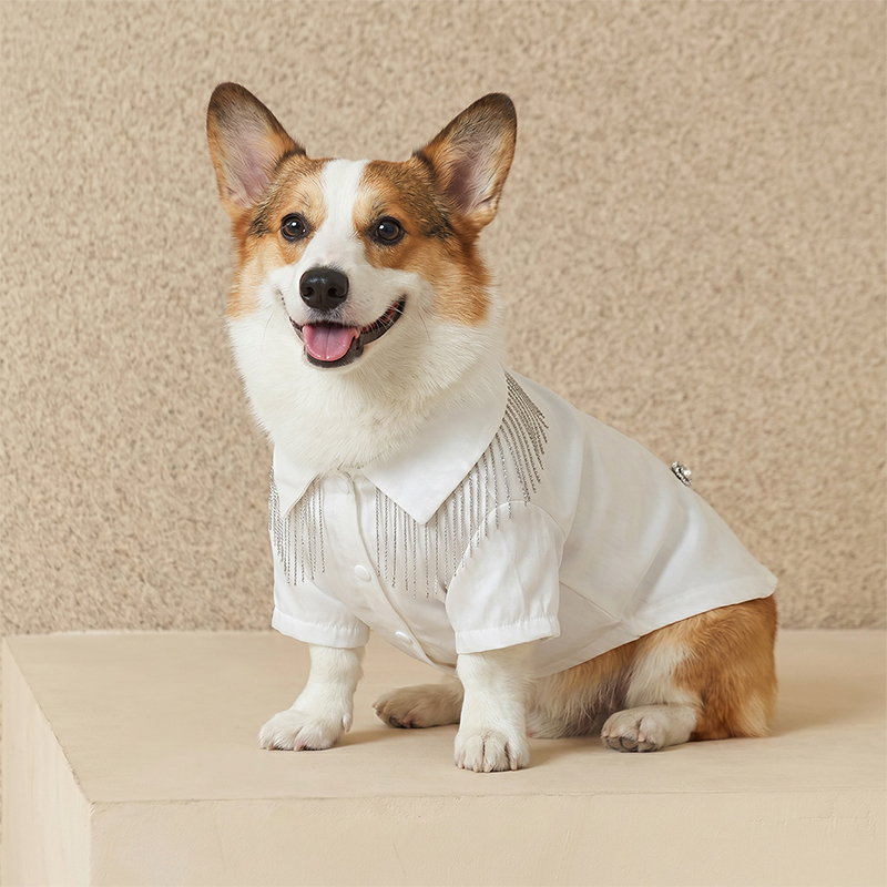 Cool Style Tassel Top Pet Lolita Dress