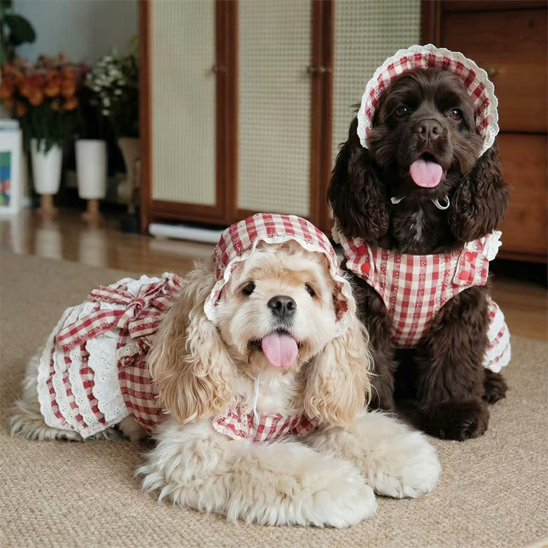 Korean Sweet Lolita Dog Dress Cute Party Outfit