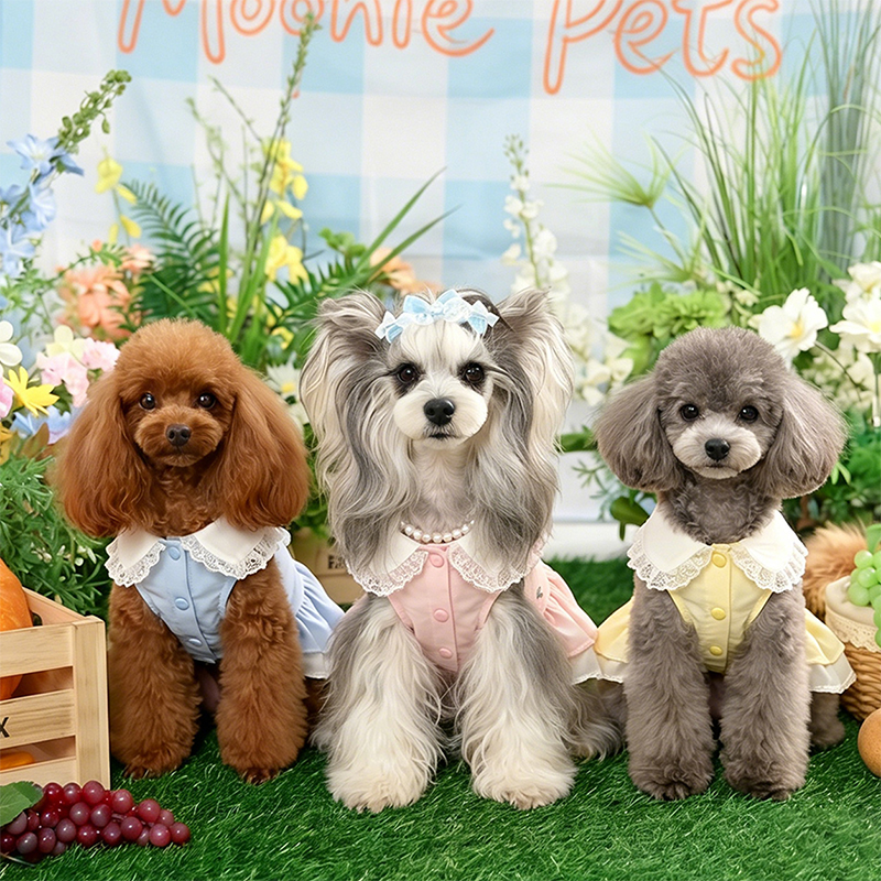 French Doll-neck Dog Dress Elegant Pet Wear