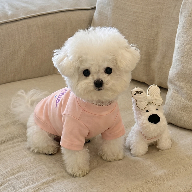 Star & Letter Casual Pet T-Shirt Daily Wear Dog Top Star & Letter Casual Pet T-Shirt Daily Wear Dog Top