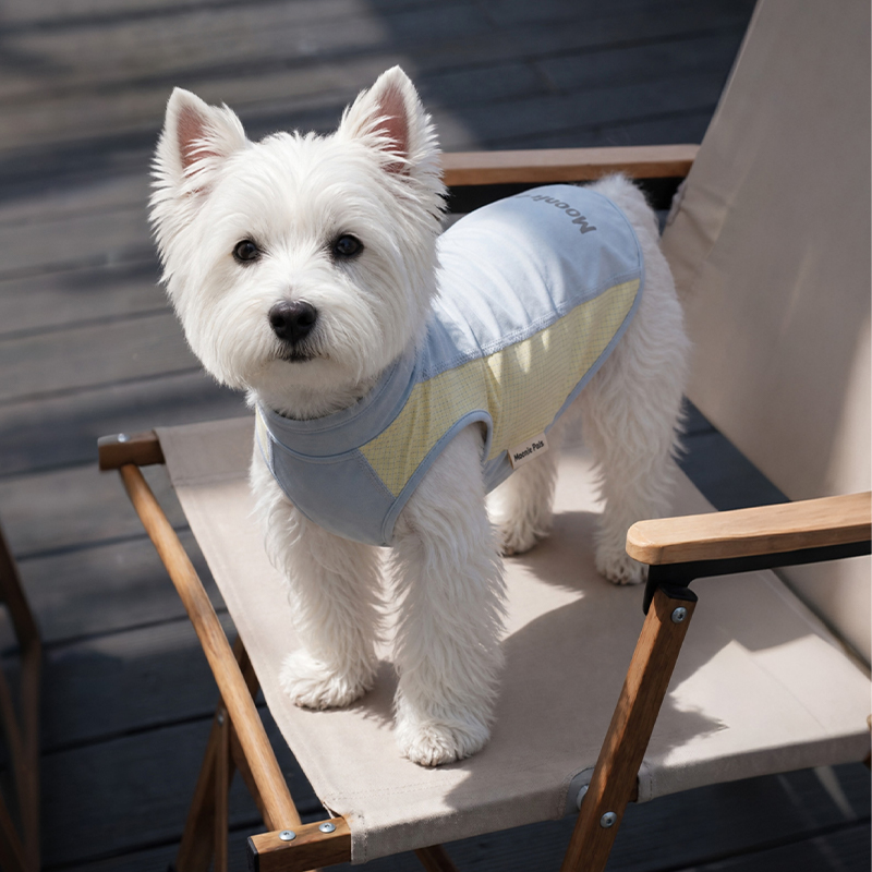 Cooling Sun-Protection Vest with Ice-Silk Fabric for Pets Cooling Sun-Protection Vest with Ice-Silk Fabric for Pets