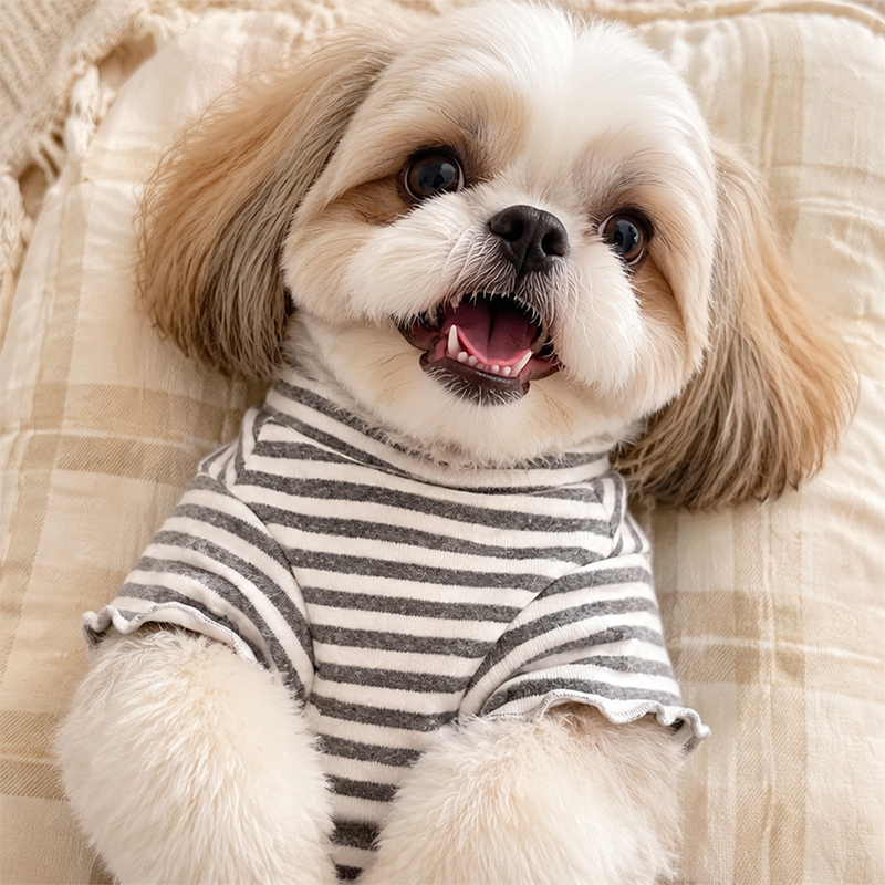 Home Wear Pet Base Layer Home Wear Pet Base Layer