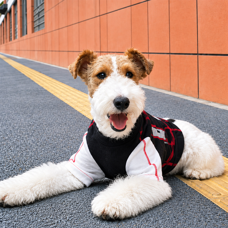Lightning Speed Digital Sports Jersey for Pets Lightning Speed Digital Sports Jersey for Pets