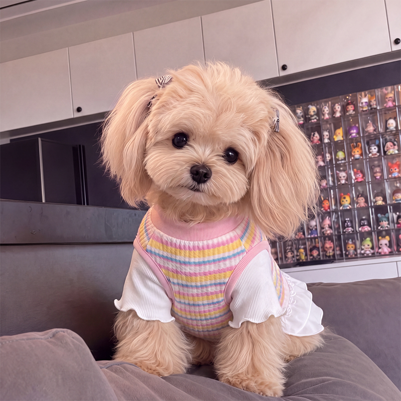 Pet Rainbow Tulle Princess Dress Pet Rainbow Tulle Princess Dress