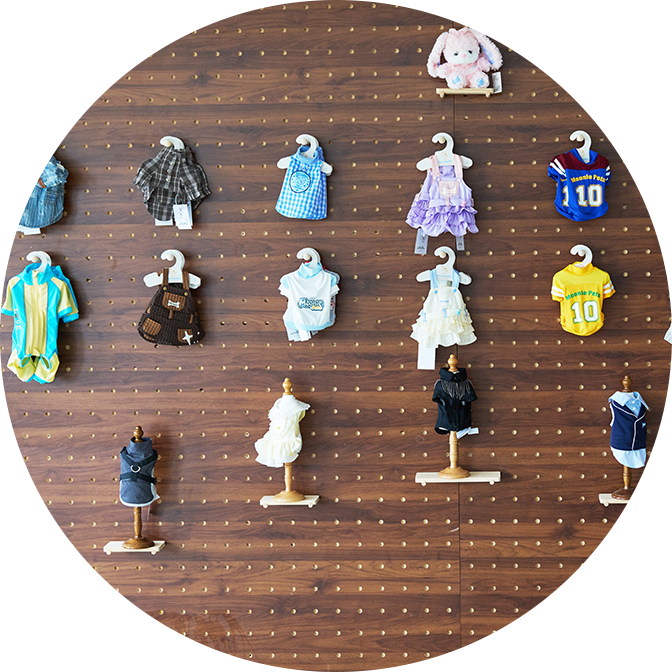 Taizhou Feile Pet Products Co., Ltd.